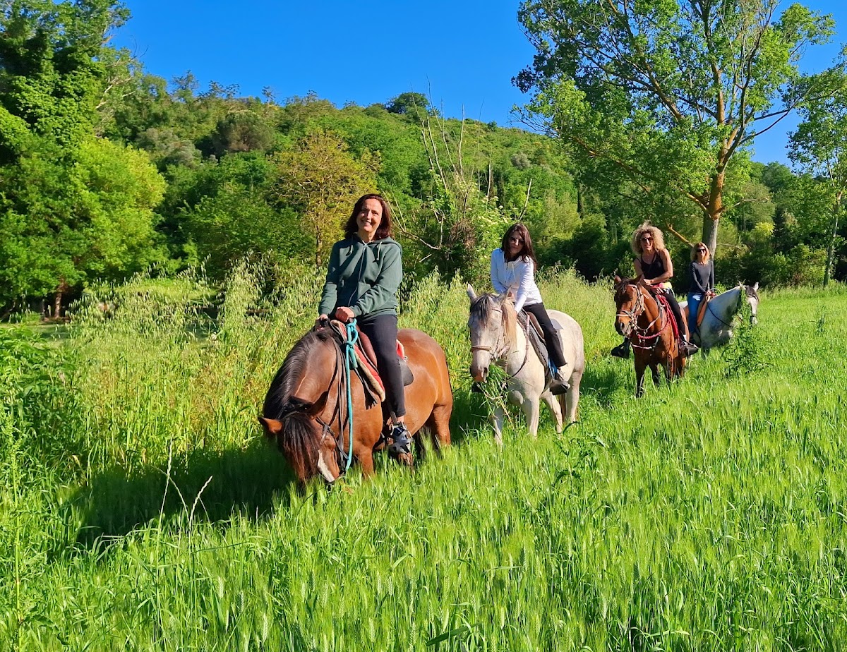 Zefiria il Regno dei cavalli - La fattoria di Tania