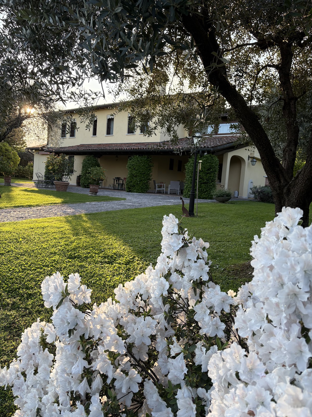 Le Tre Querce B&B — Alloggio a Bassano del Grappa, Vicenza