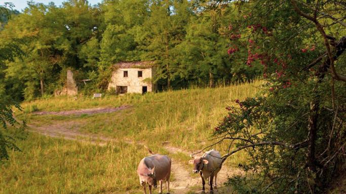 La fattoria di Urs