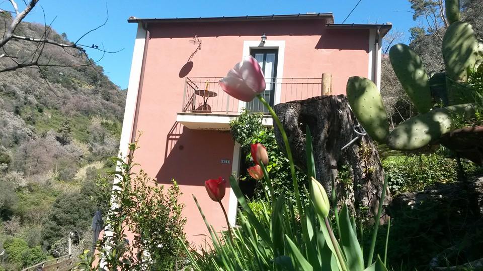 Agriturismo Il Brucaolivo - Monterosso al Mare Cinque Terre Liguria — Alloggio a Cinque Terre, La Spezia