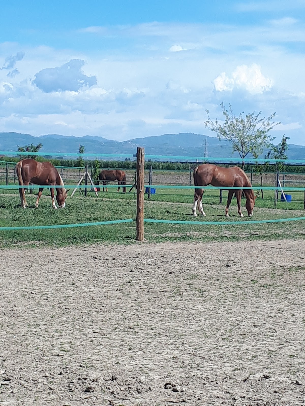 SG Ranch Fattoria Didattica — Alloggio a Verona, Verona