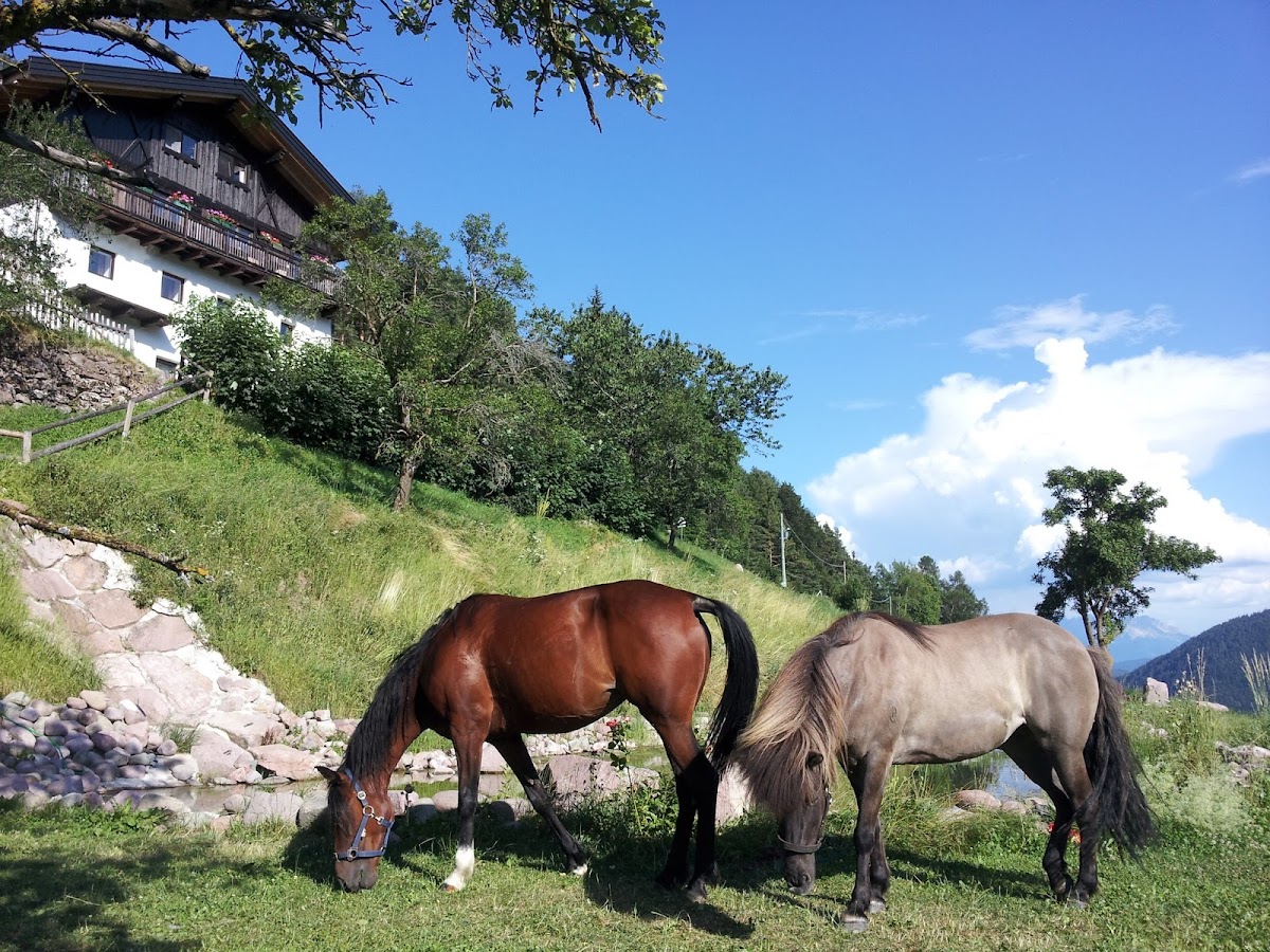 Burgerhof Bauernhof Agriturismo — Alloggio a Bolzano, Bolzano