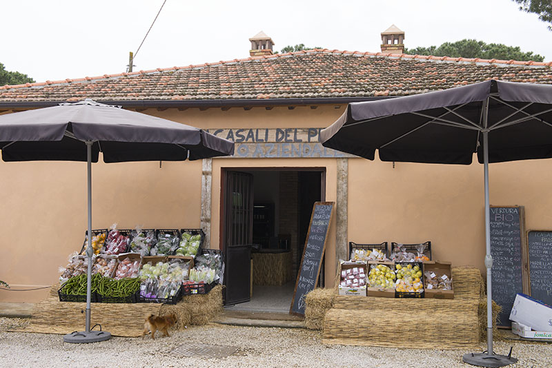 I Casali del Pino — Alloggio a Roma, Roma