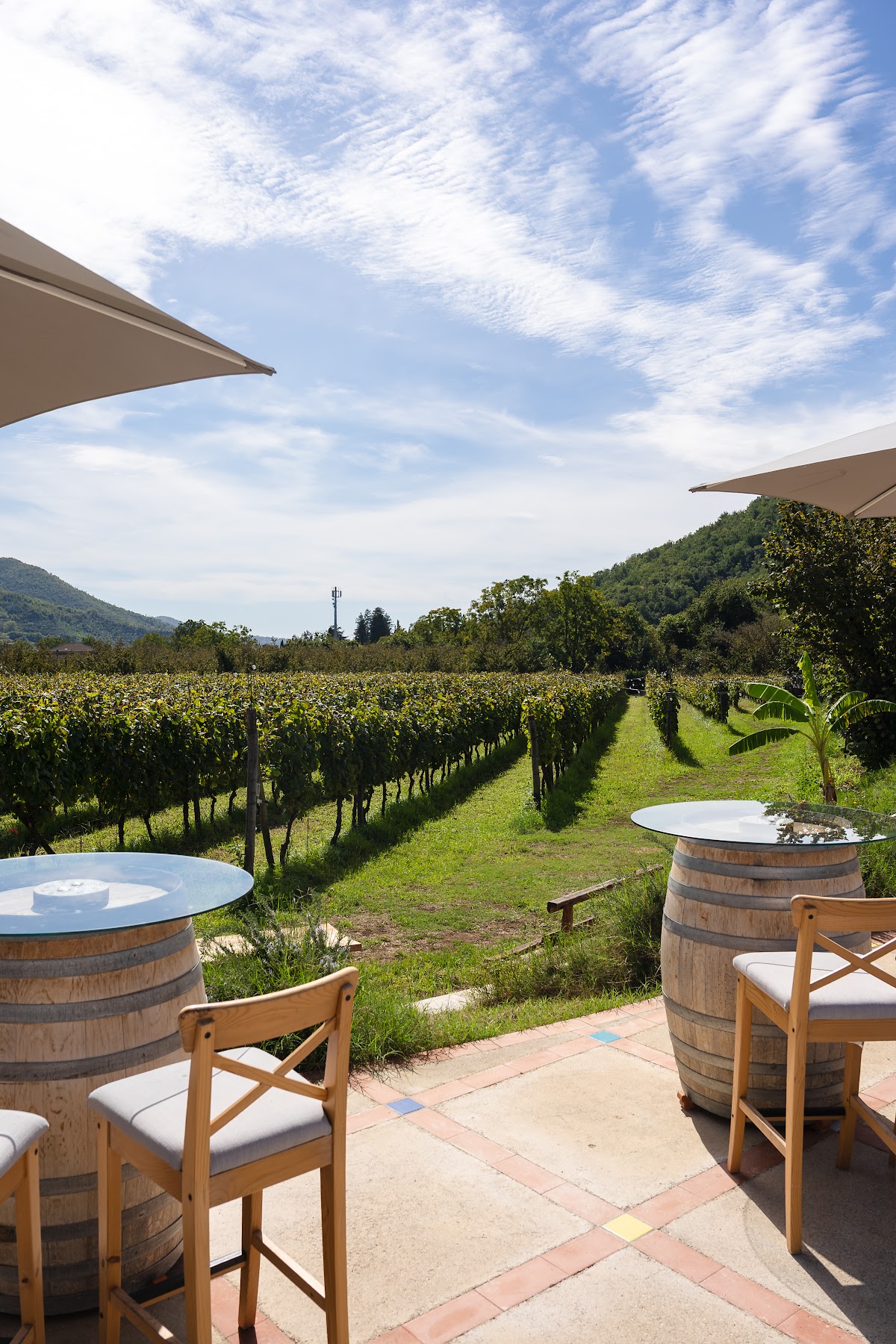 Azienda Agricola Guerritore — Alloggio a Salerno, Salerno
