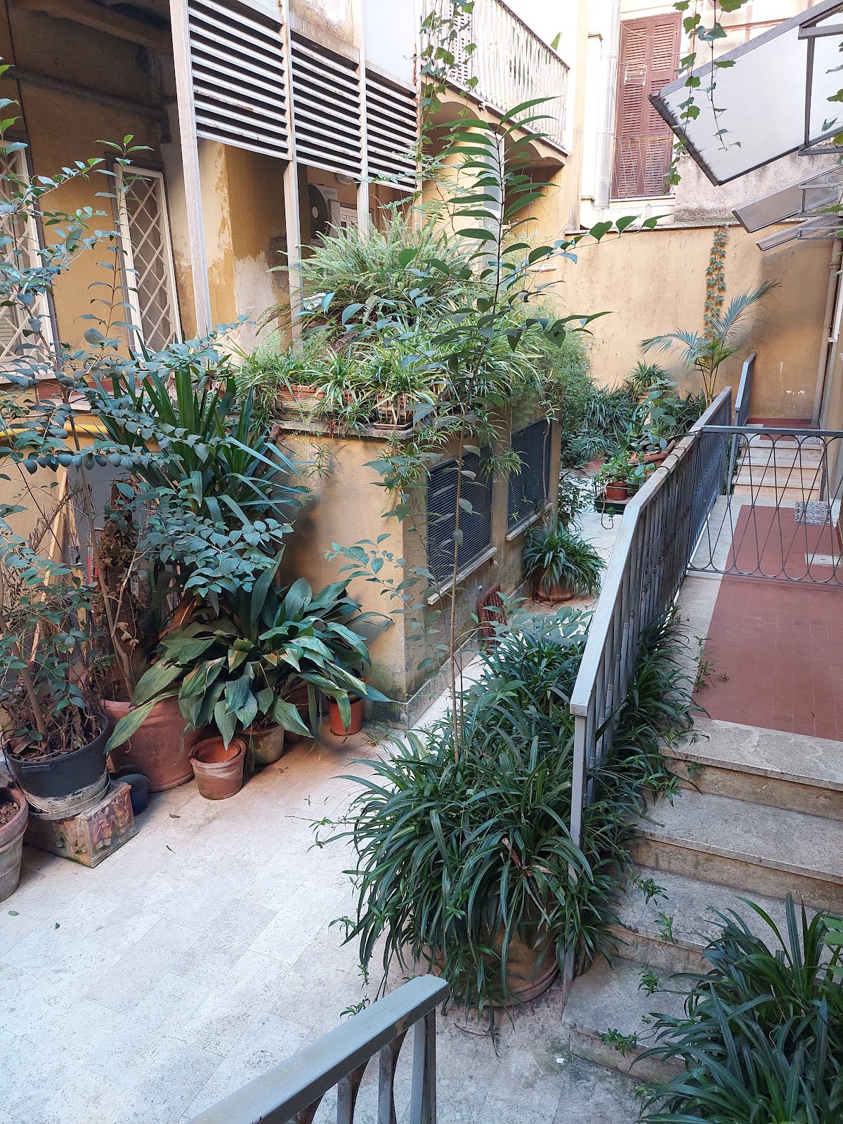 The Place in Rome B&B — Alloggio a Roma, Roma