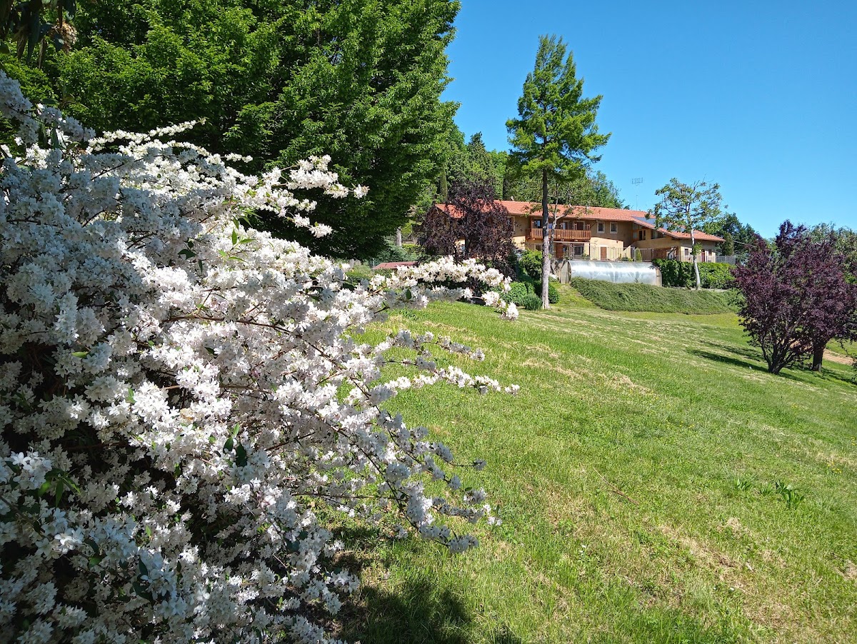 B&B L'Albore — Alloggio a Saluzzo, Cuneo