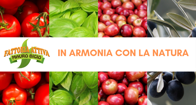 Fattoria Attiva di Bigio Mauro - Agriturismo — Alloggio a Sanremo, Imperia
