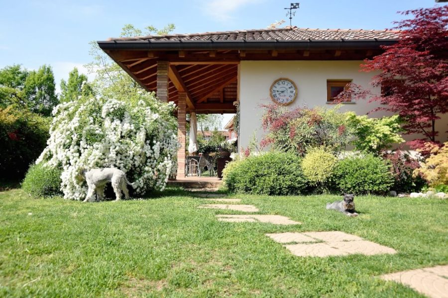 Bed & Breakfast Trecuori Udine — Alloggio a Udine, Udine