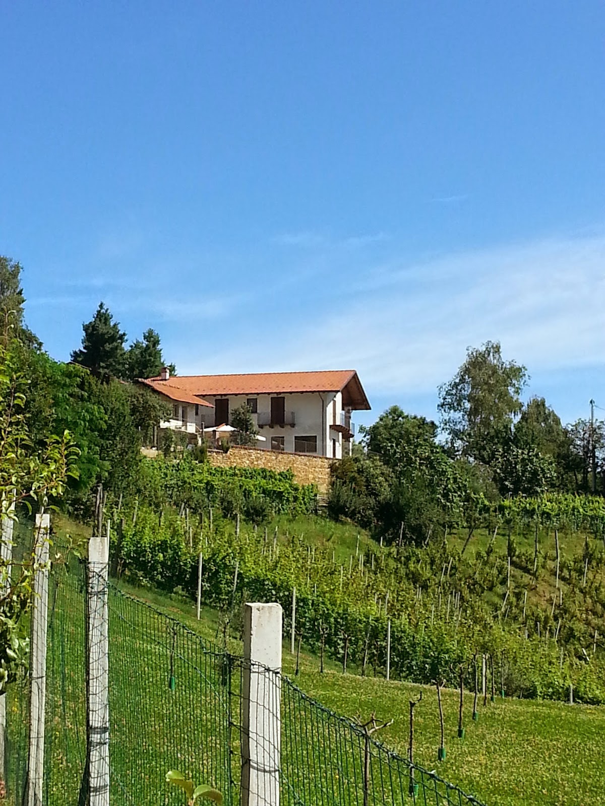 Agriturismo la Pineta — Alloggio a Saluzzo, Cuneo