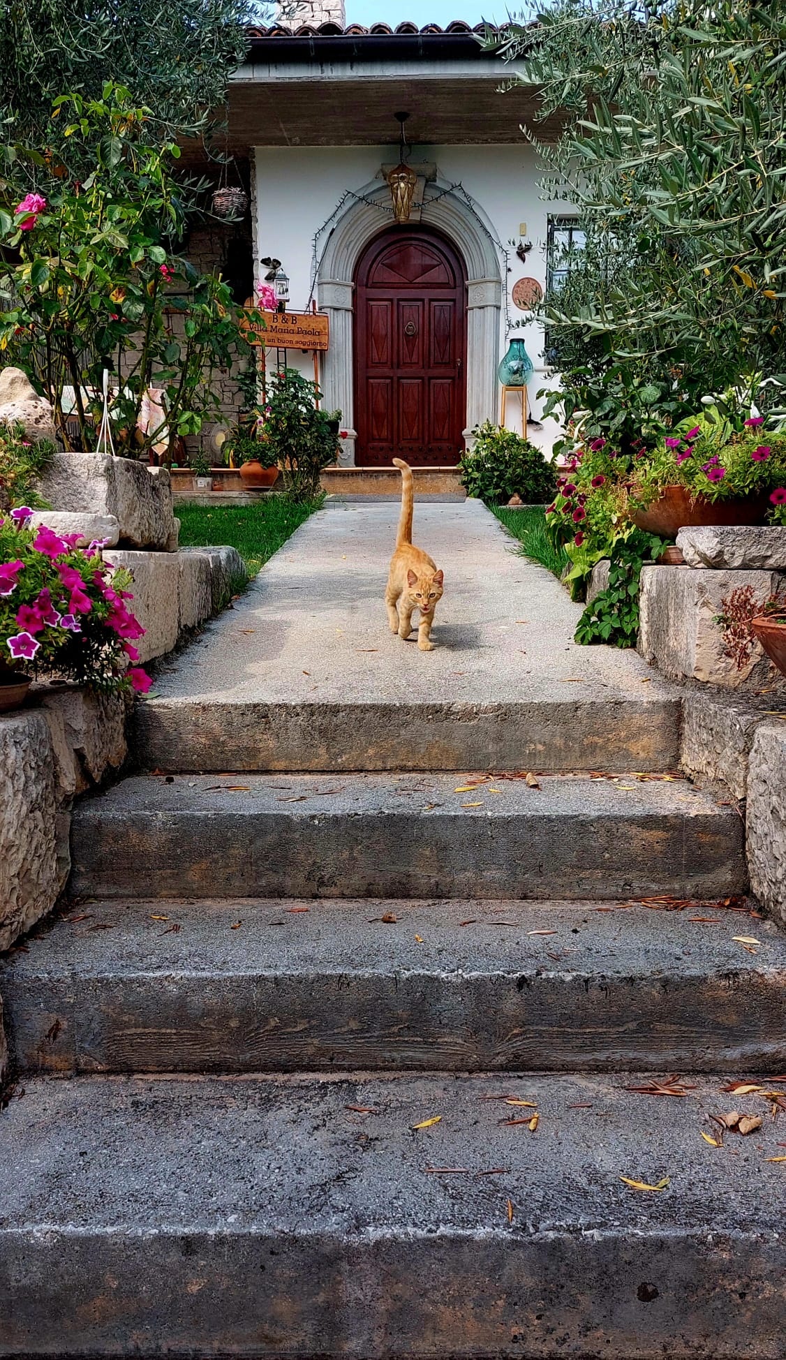 B&B Villa Maria Paola Isernia — Alloggio a Isernia, Isernia