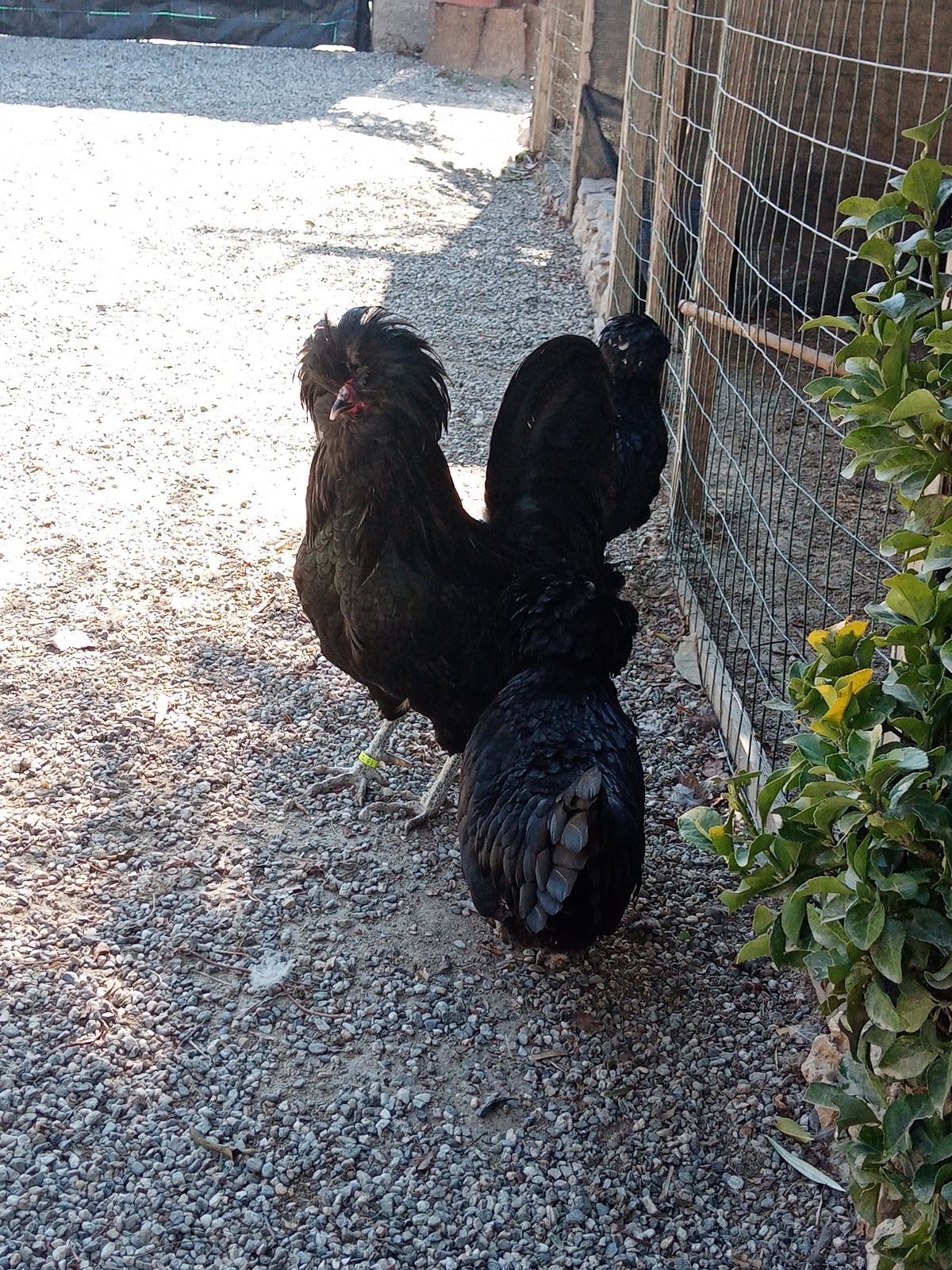 Fattoria Didattica Clodiloa — Alloggio a Reggio Calabria, Reggio Calabria