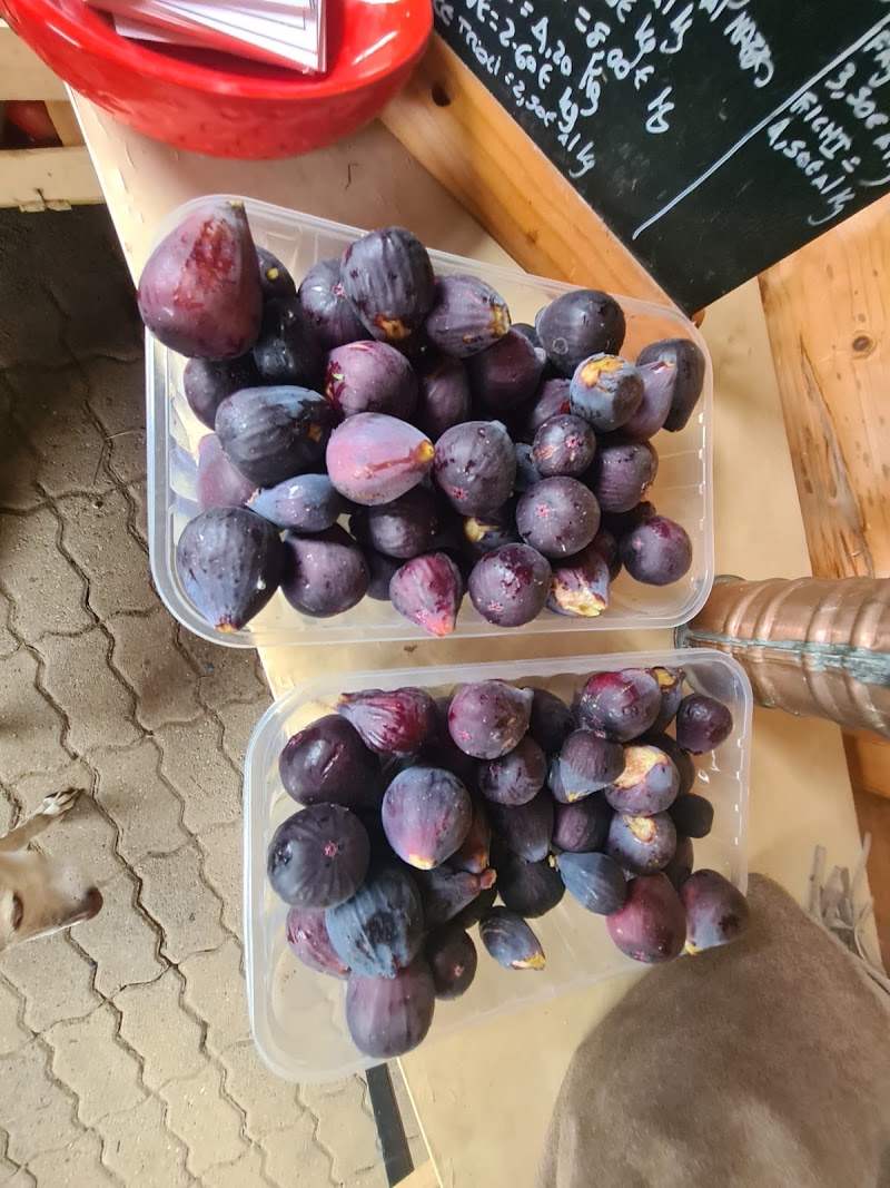 Azienda agricola Mora dei boschi