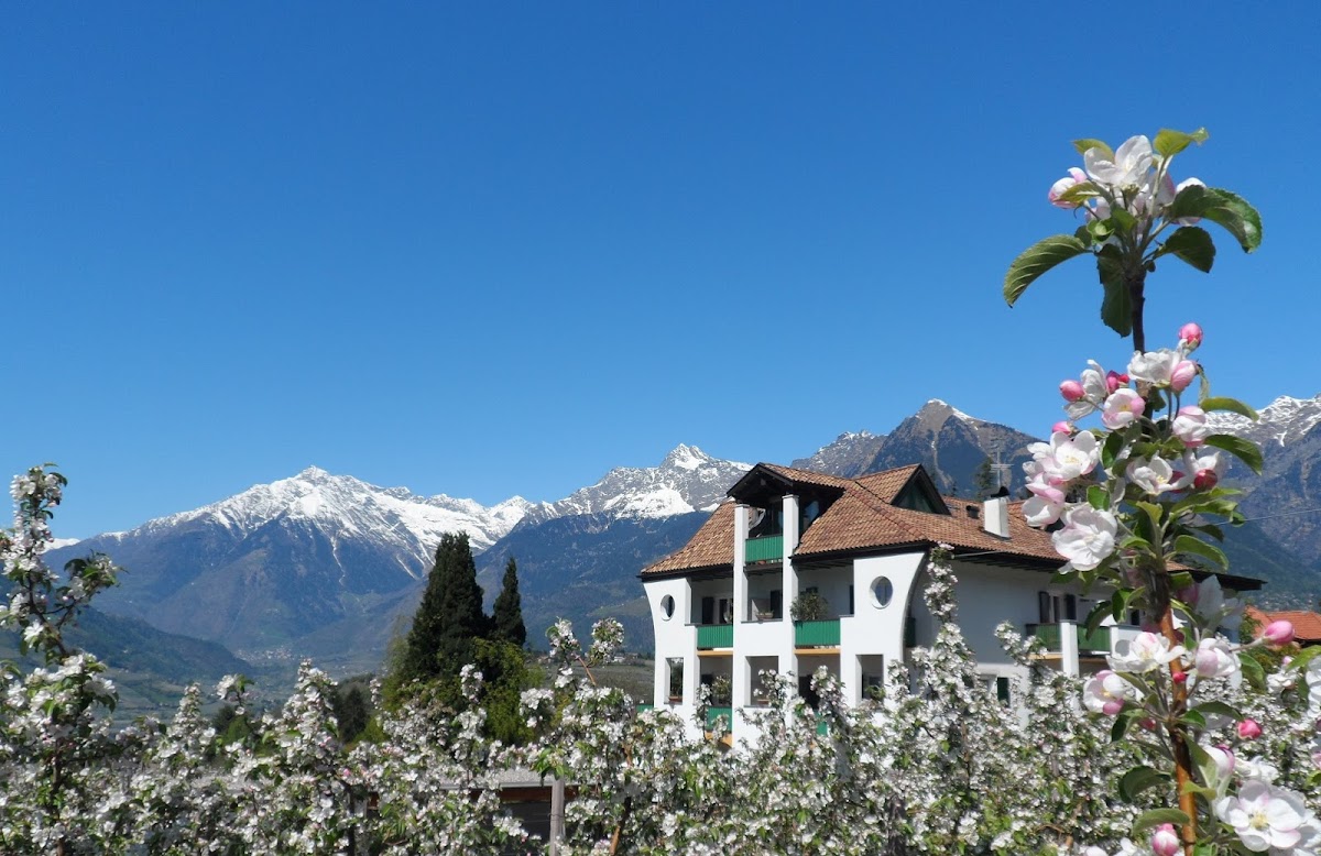 Pensione Verdorfer — Alloggio a Merano, Bolzano