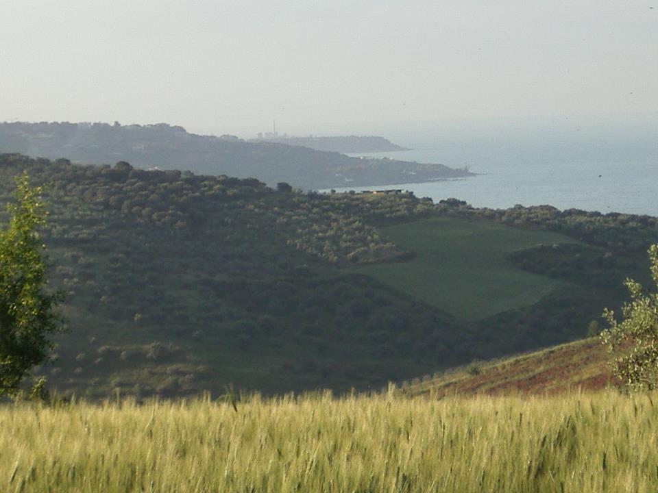 Masseria La Palombara