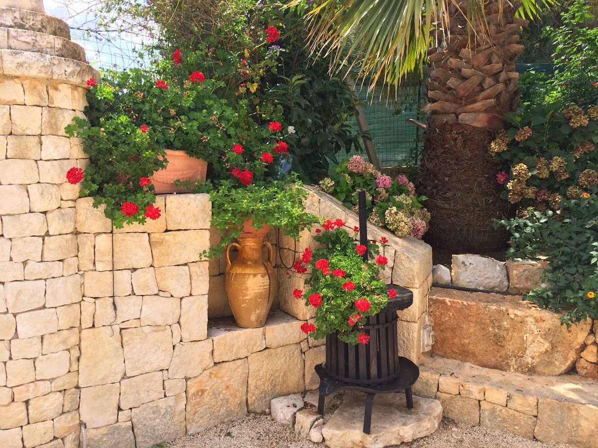B&B All'ombra degli ulivi — Alloggio a Ostuni, Brindisi