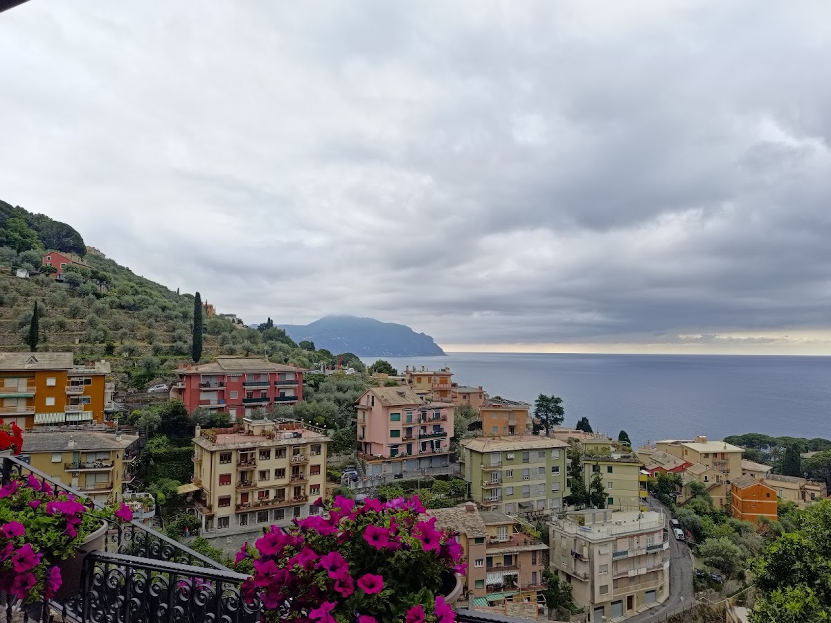 Agriturismo Le Pale — Alloggio a Camogli, Genova