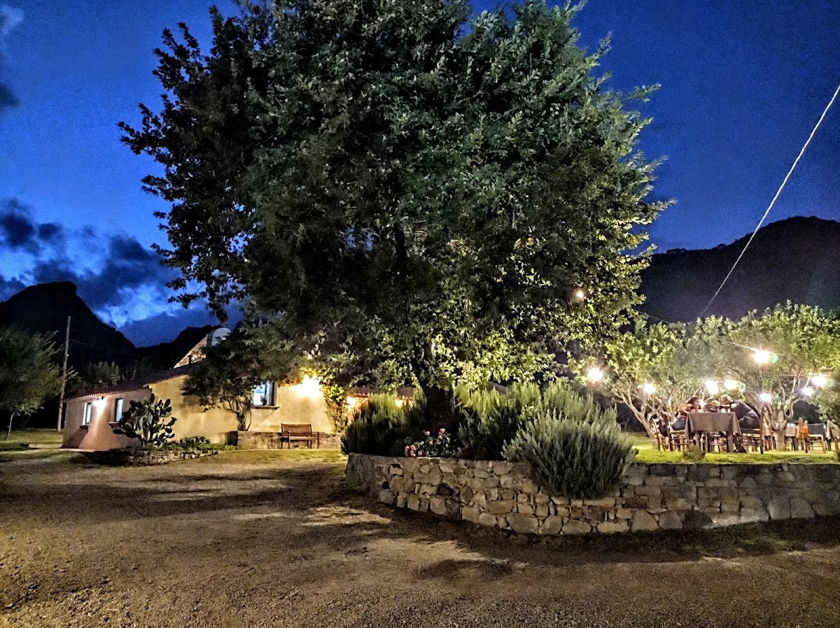 Agriturismo,Modi — Alloggio a Scilla, Reggio Calabria