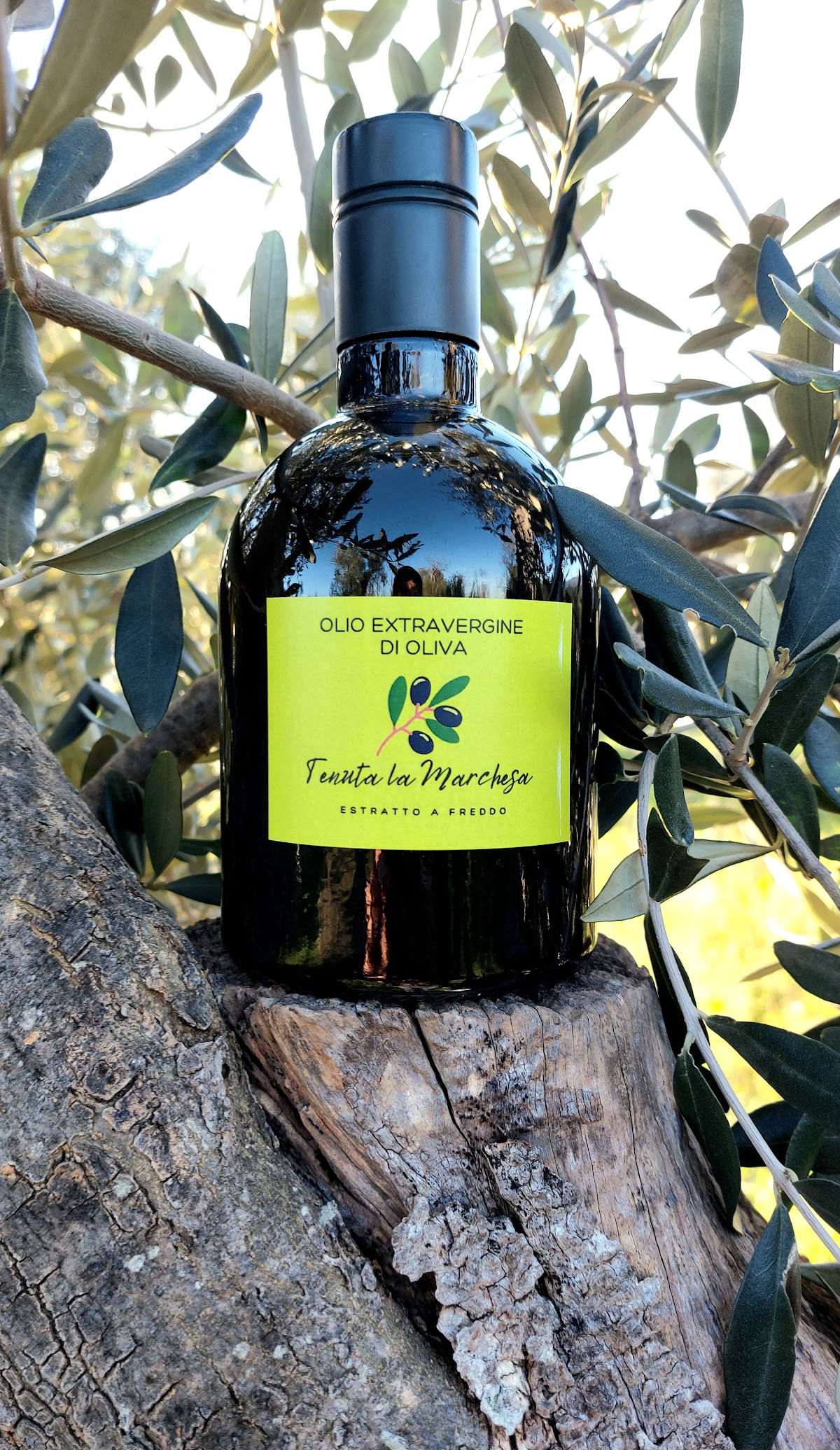 Tenuta la Marchesa