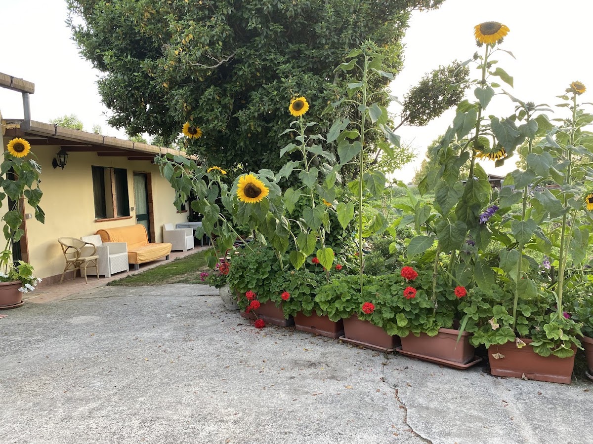 B&B Antica Forneria — Alloggio a Paestum, Salerno