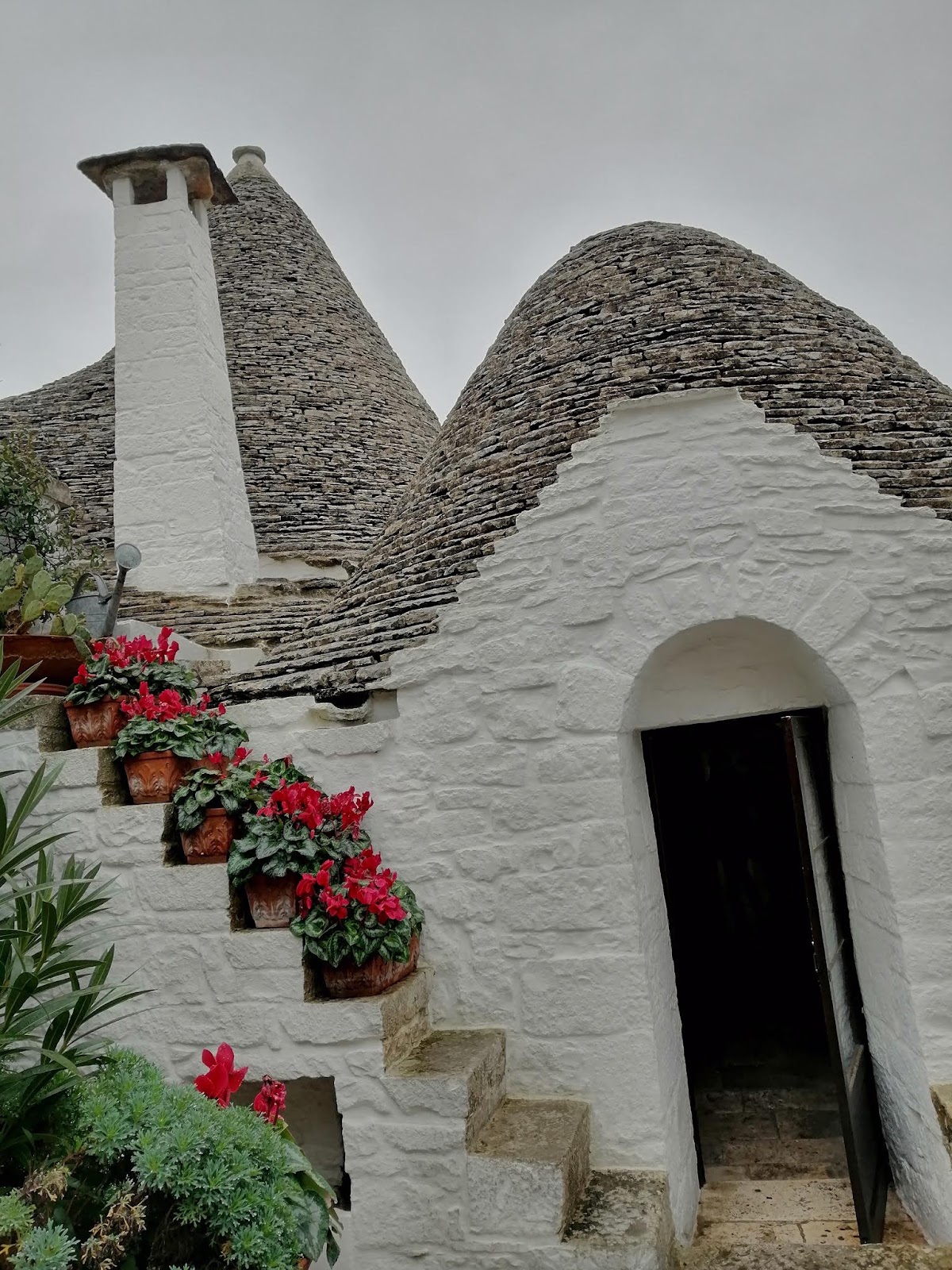 Hotel Silva — Alloggio a Alberobello, Bari