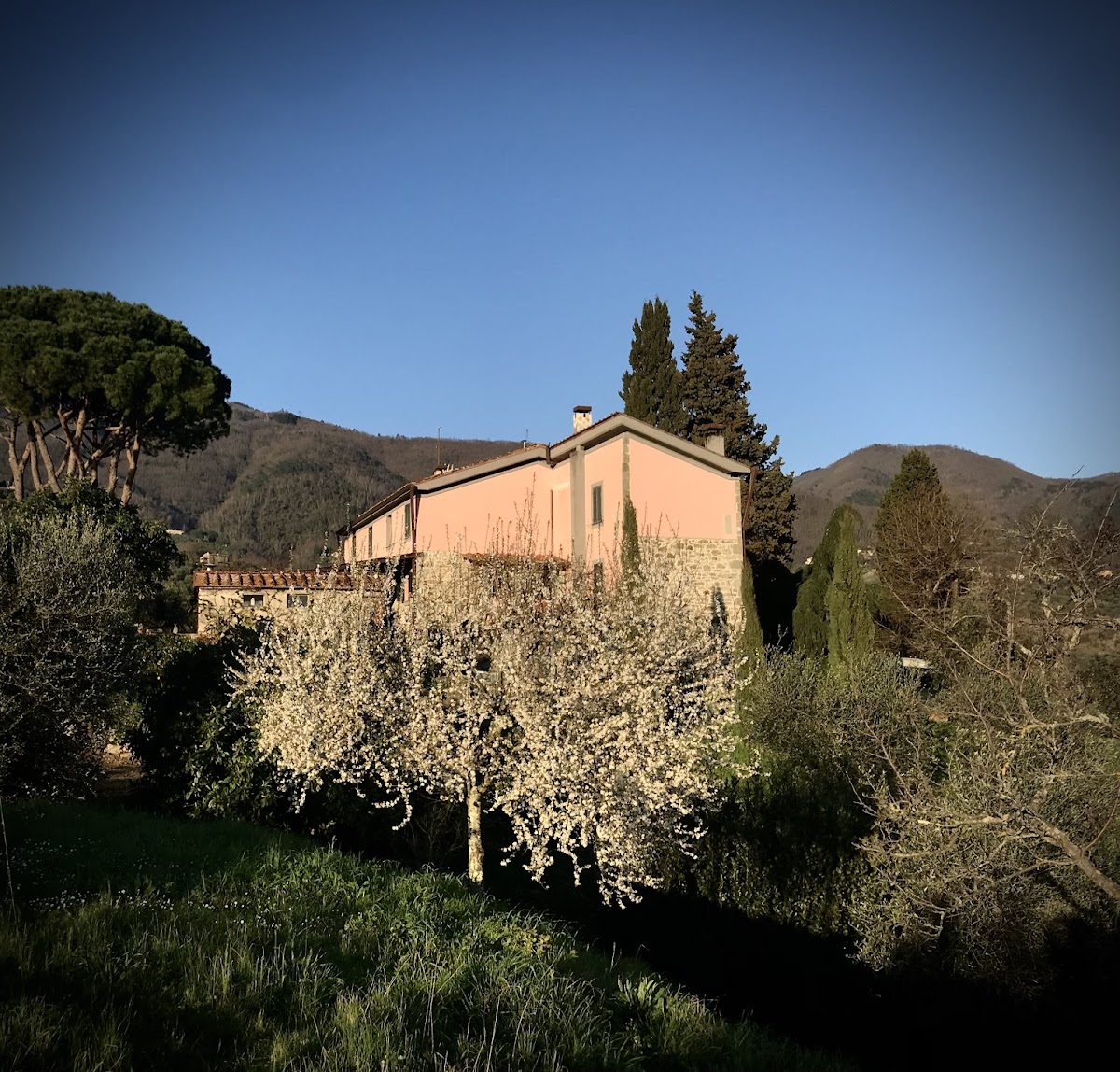 Azienda Agricola La Madonnina-Fattoria Didattica-Bed&Breakfast