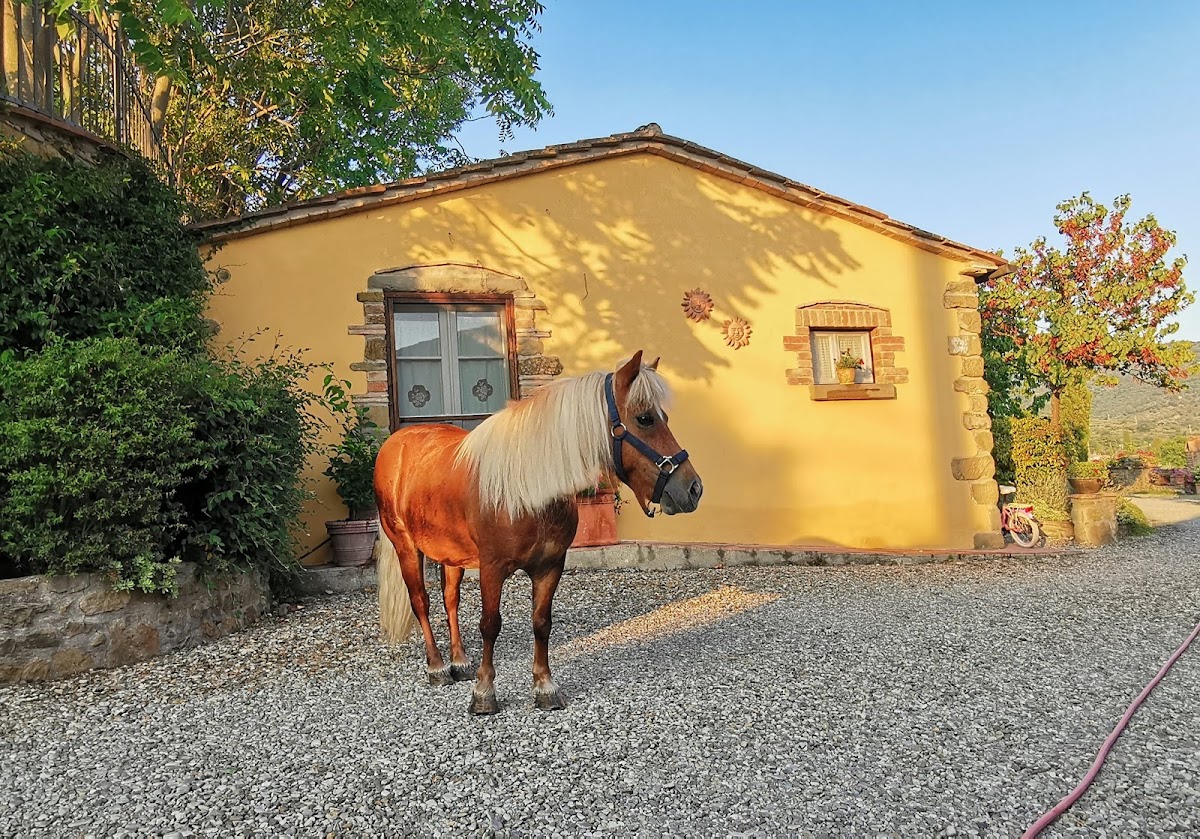 Margherita Holiday Home