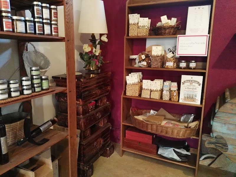 Azienda agricola Ardizzina — Alloggio a Casale Monferrato, Alessandria