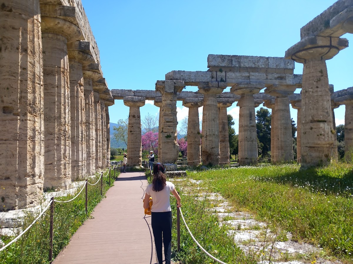 B&B Ex Magazzeno Barlotti — Alloggio a Paestum, Salerno