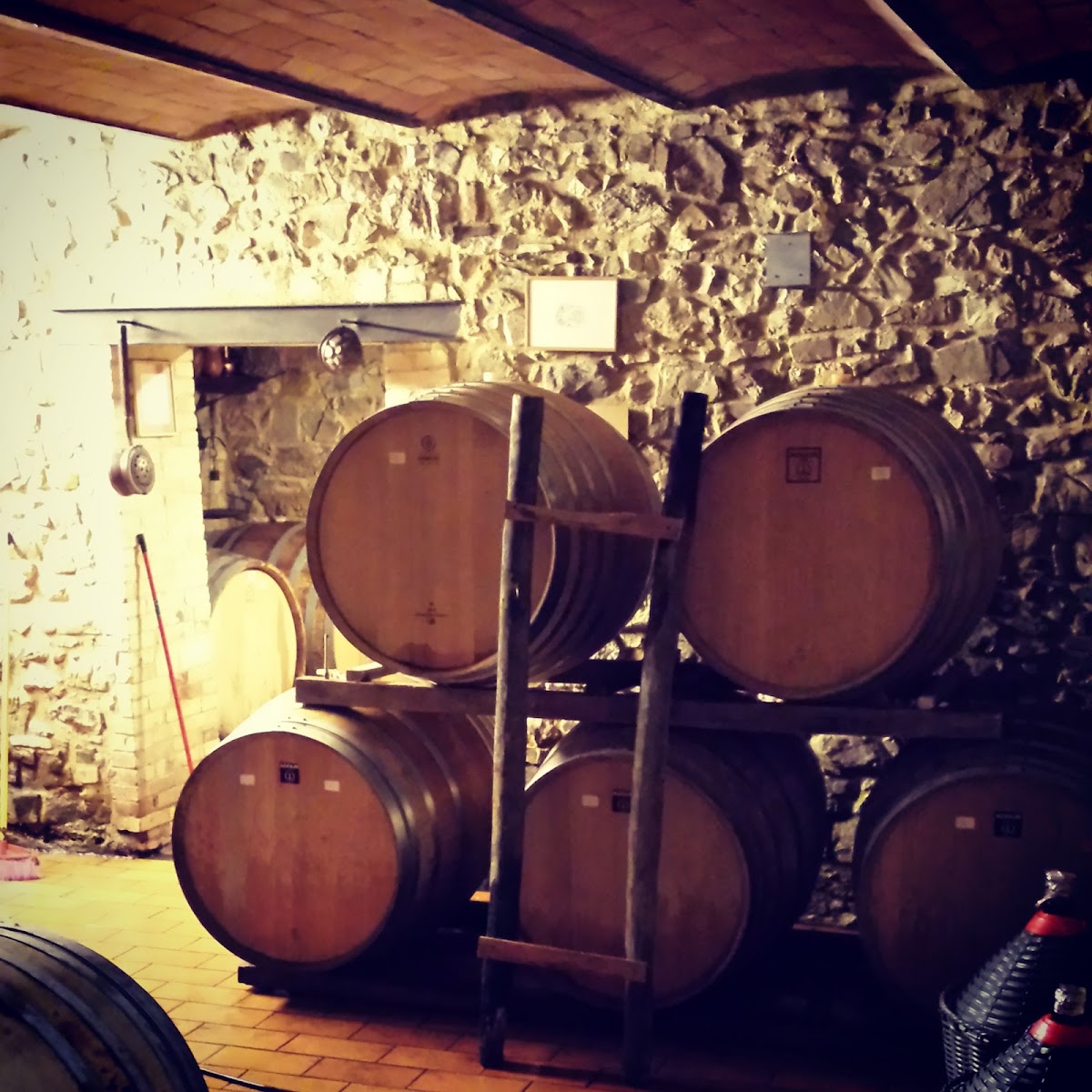 Podere Il Cocco — Alloggio a Montalcino, Siena