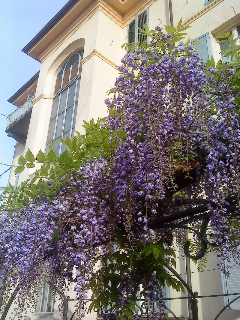B&B Il giardino dei cedri
