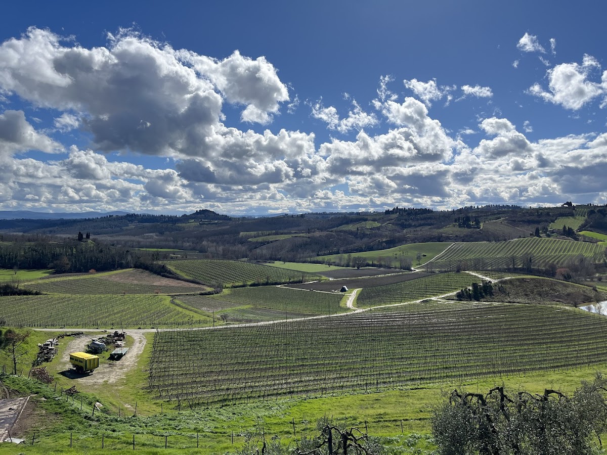 Fattoria Poggio Alloro — Alloggio