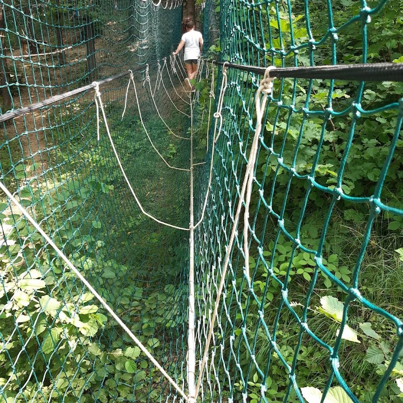 Asd Fehu - Il Bosco delle Scoperte — Alloggio a Mondovì, Cuneo