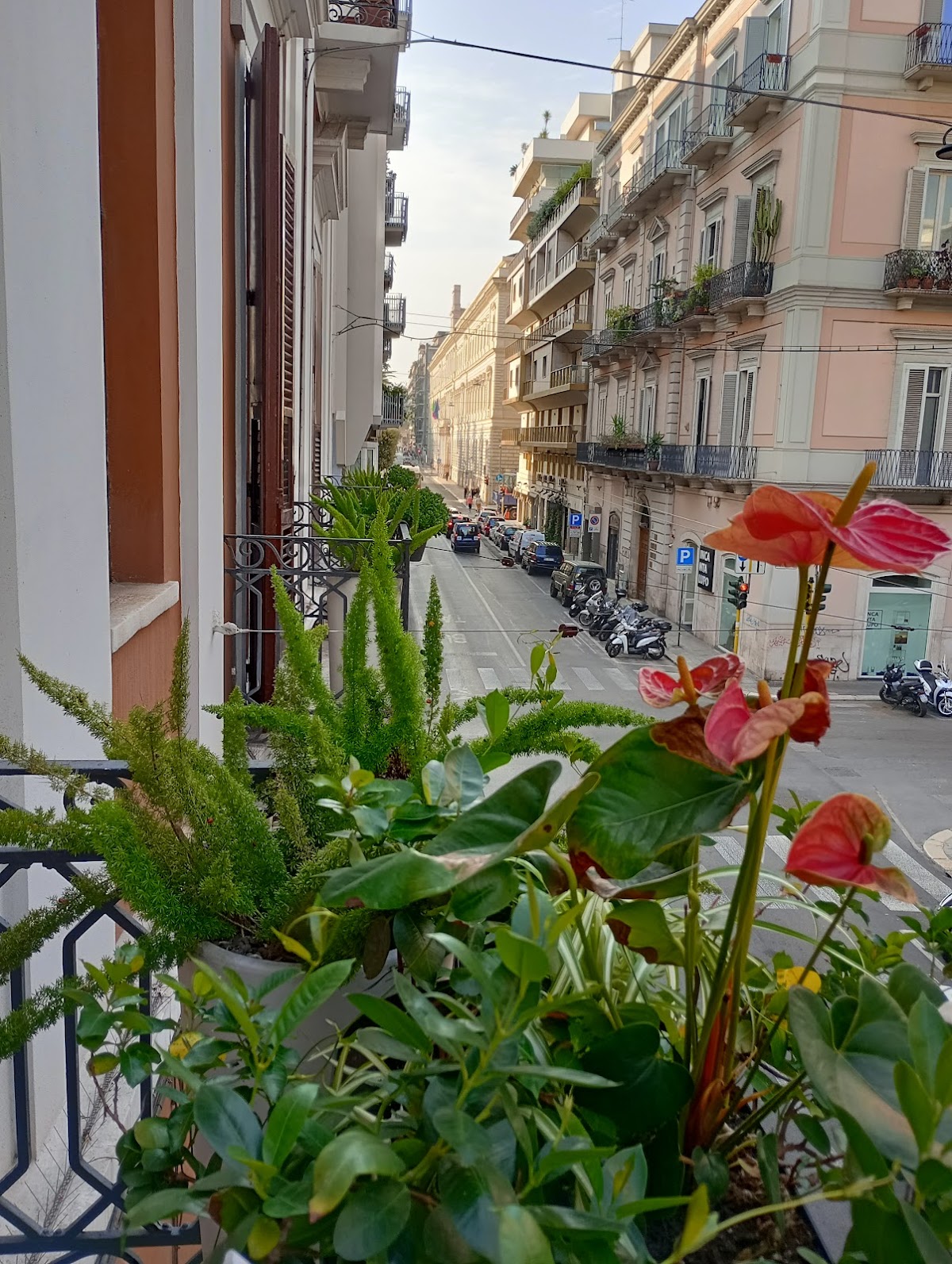 BARI 102 B&B