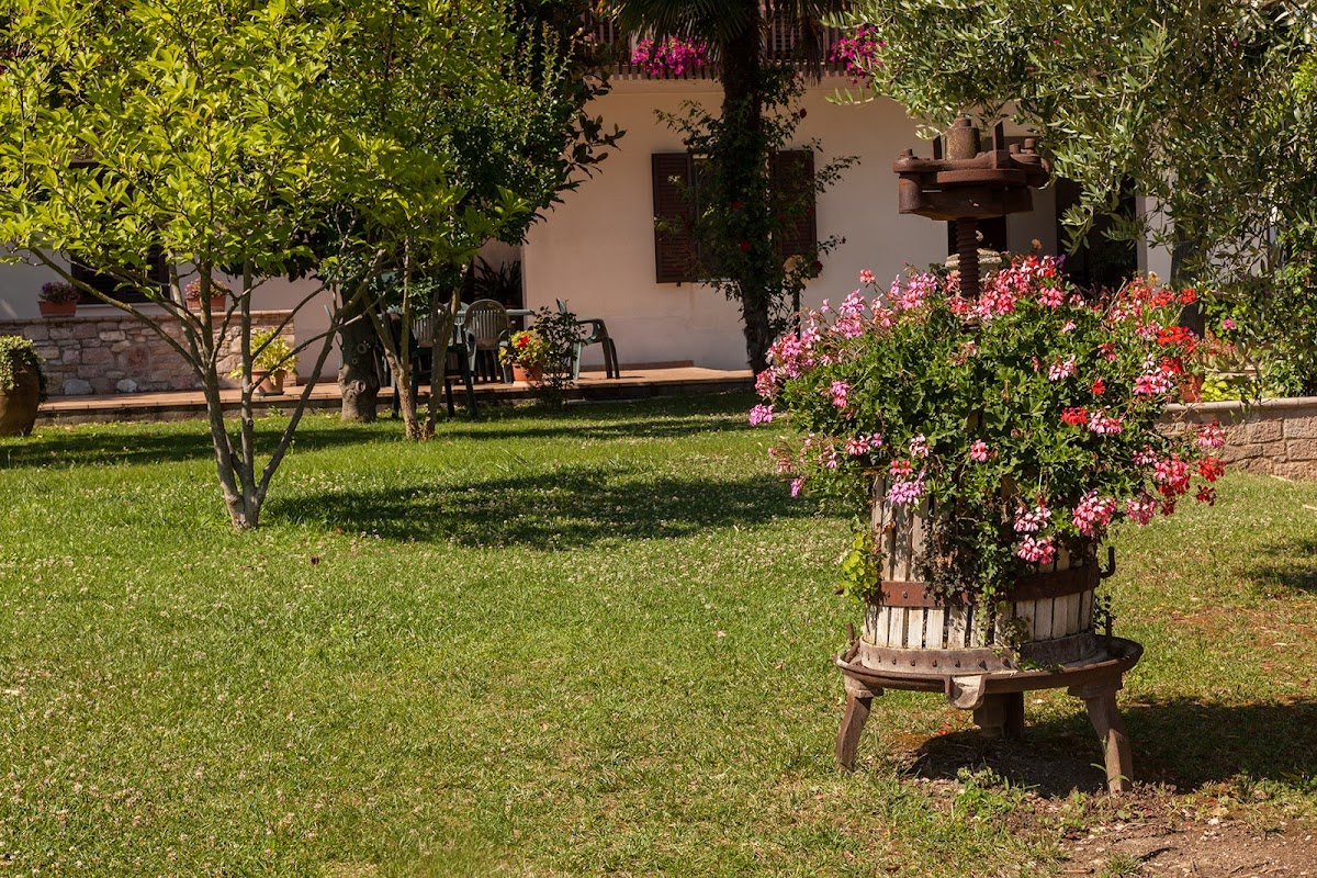 Agriturismo La Panoramica — Alloggio a Assisi, Perugia