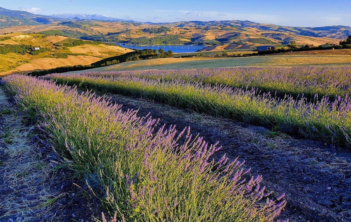 Fattoria la Farfalla — Alloggio a Campobasso, Campobasso
