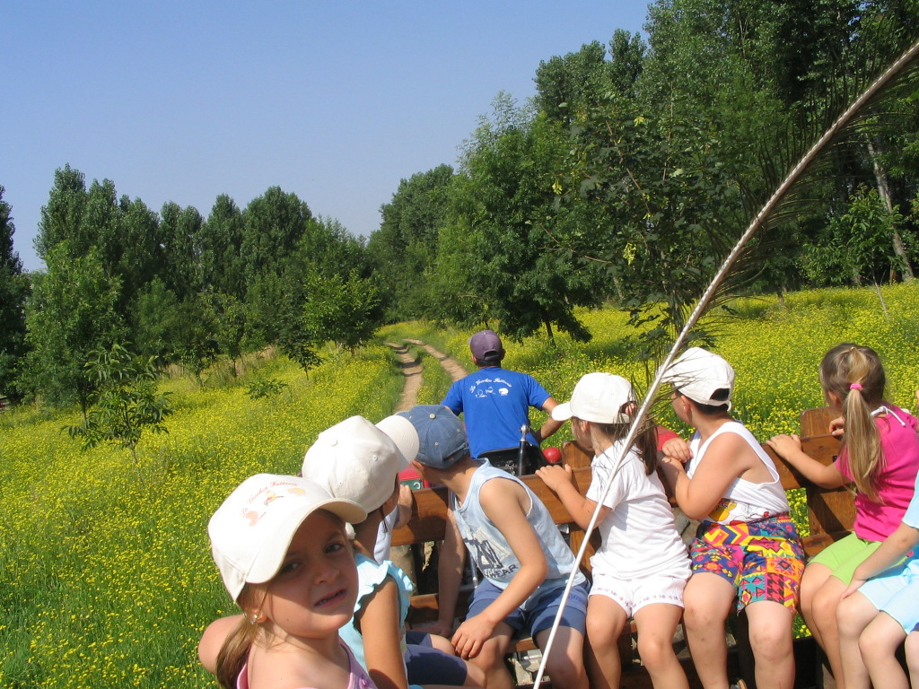 Agriturismo Didattico La Vecchia Fattoria — Alloggio a Verona, Verona