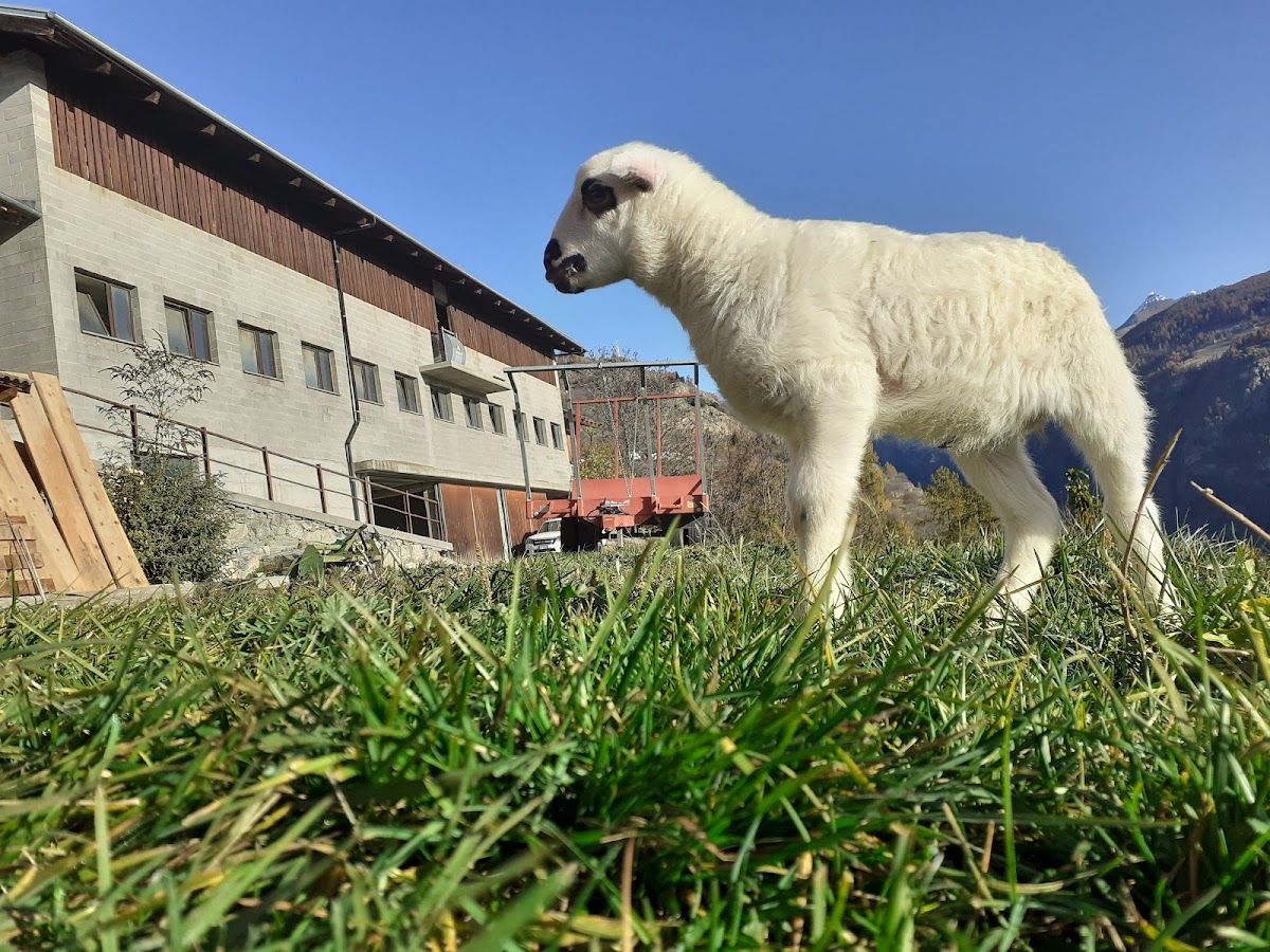 Agriturismo Soleil Levant