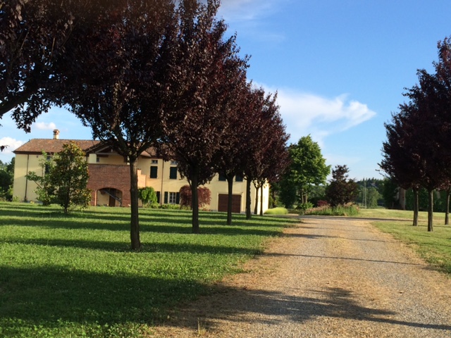 Cascina San Giorgio