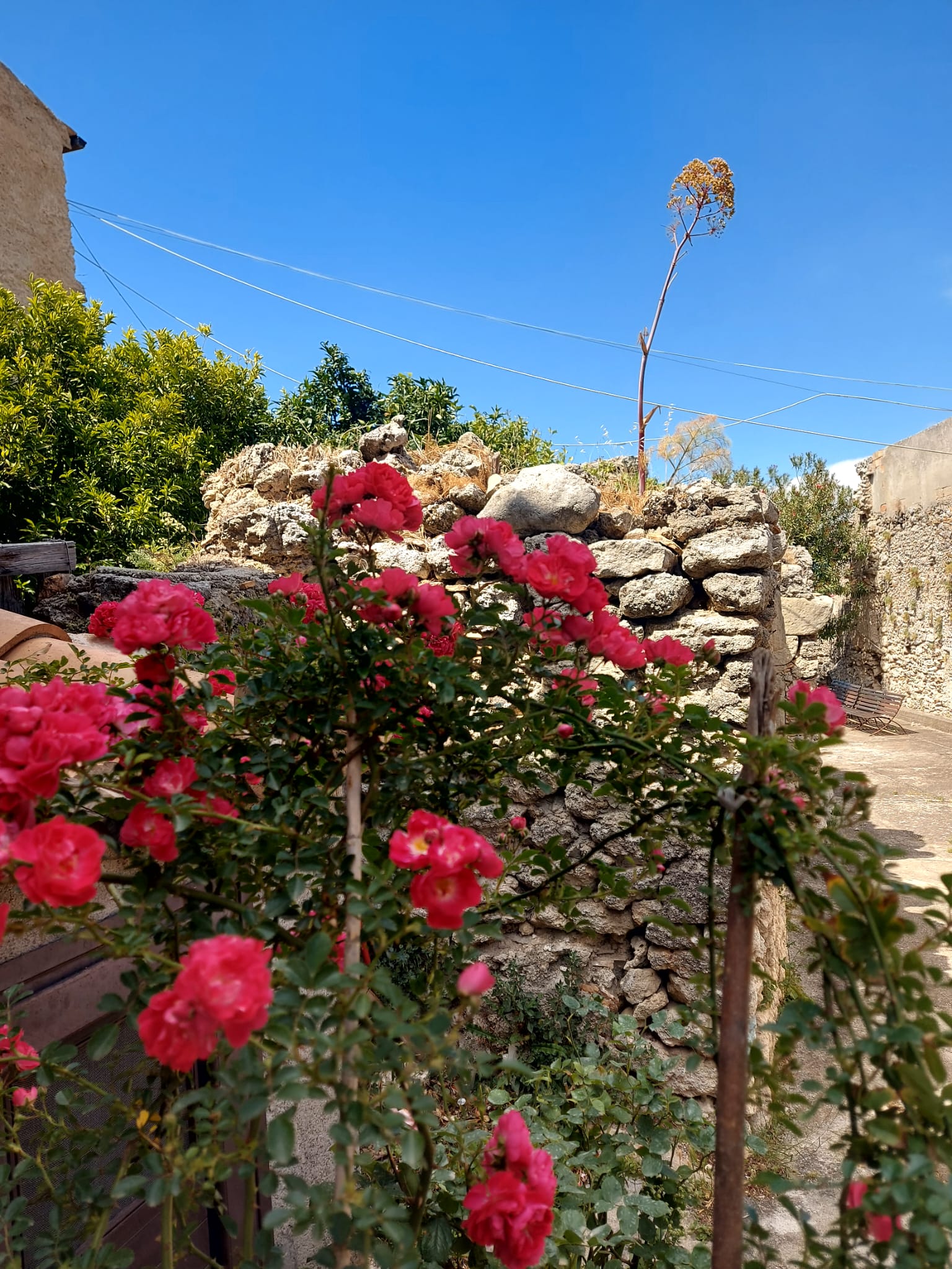 La Rosa Blu Bed & Breakfast