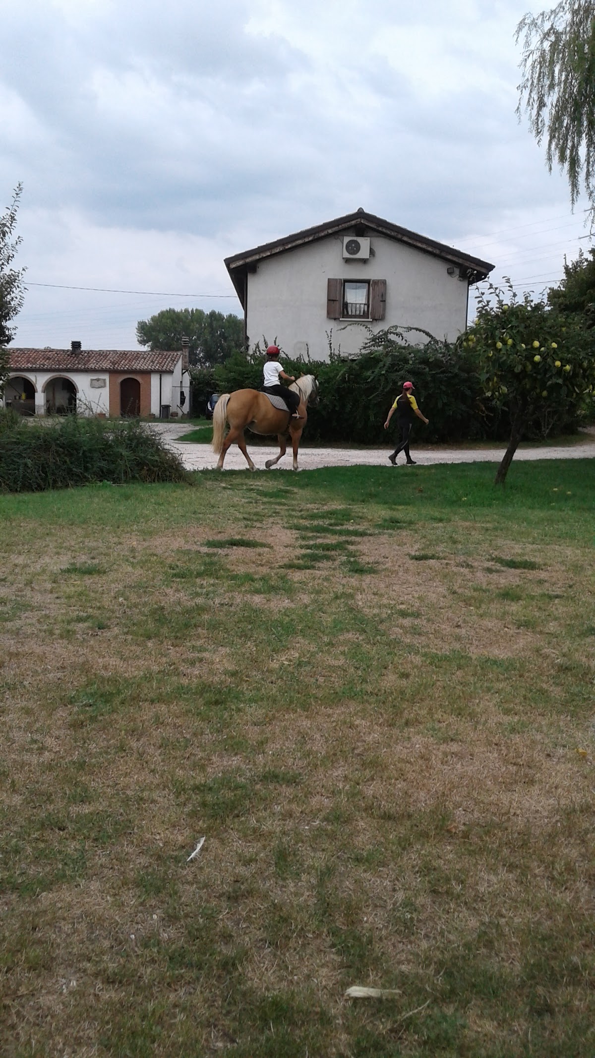 Agriturismo Arginino Piccolo — Alloggio a Mantova, Mantova