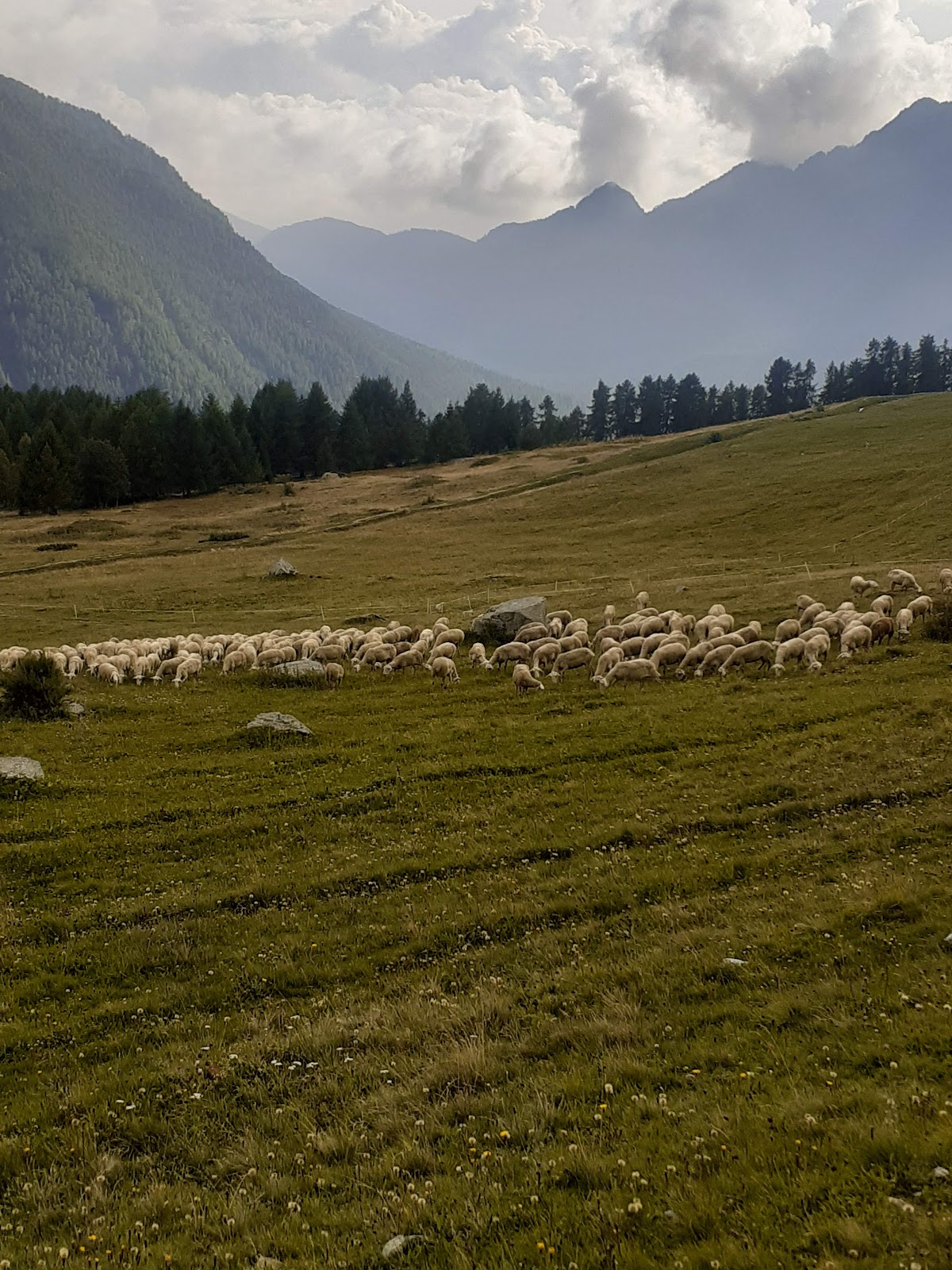 Alpe Metsan — Alloggio a Champoluc, Aosta