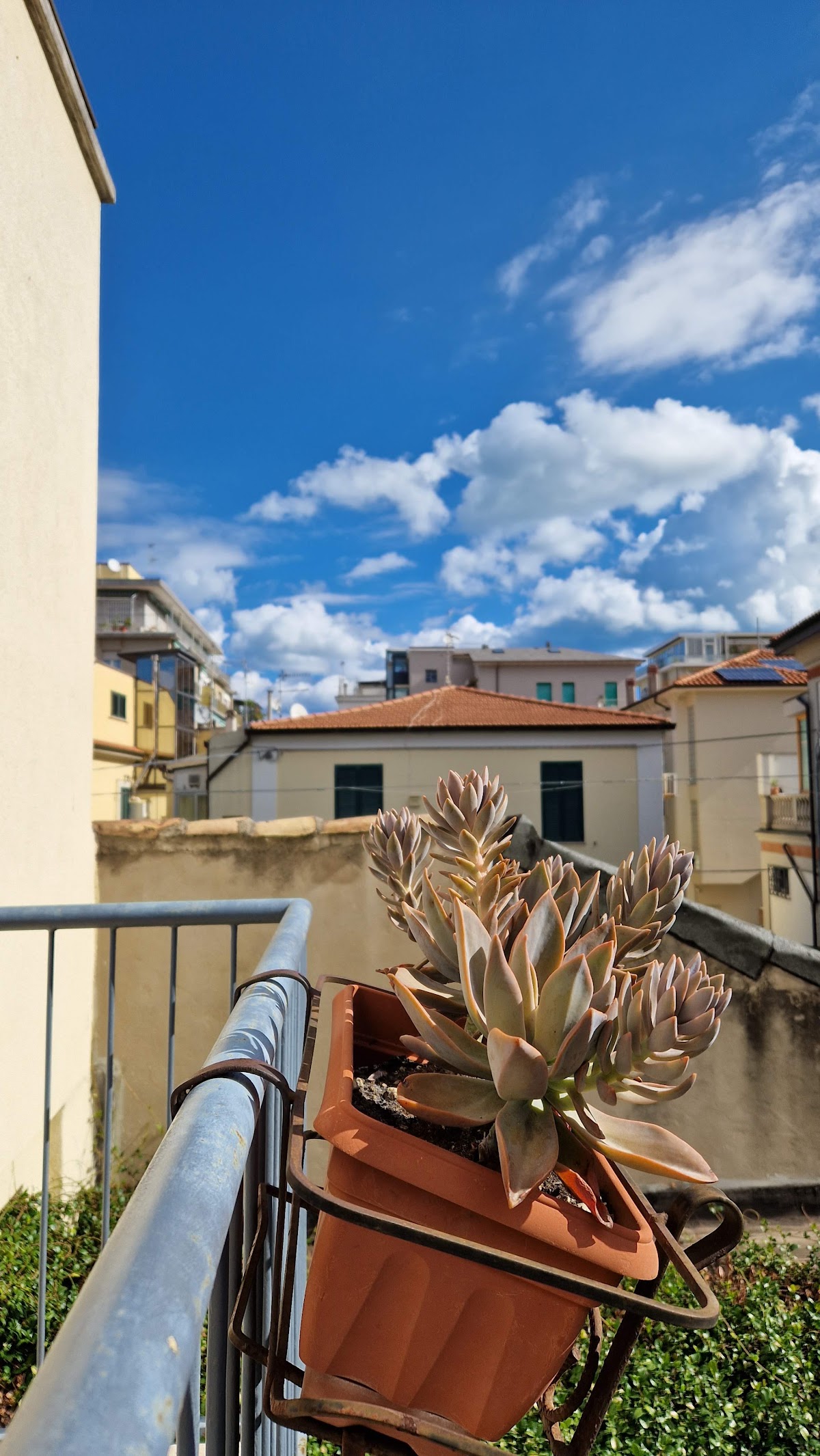 Sofia Bed & Breakfast — Alloggio a Pescara, Pescara