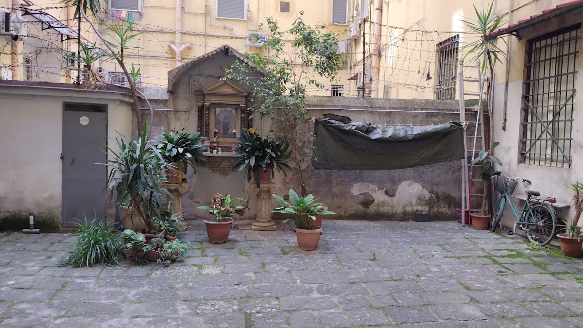 Bed and breakfast Viva Napoli — Alloggio a Napoli, Napoli