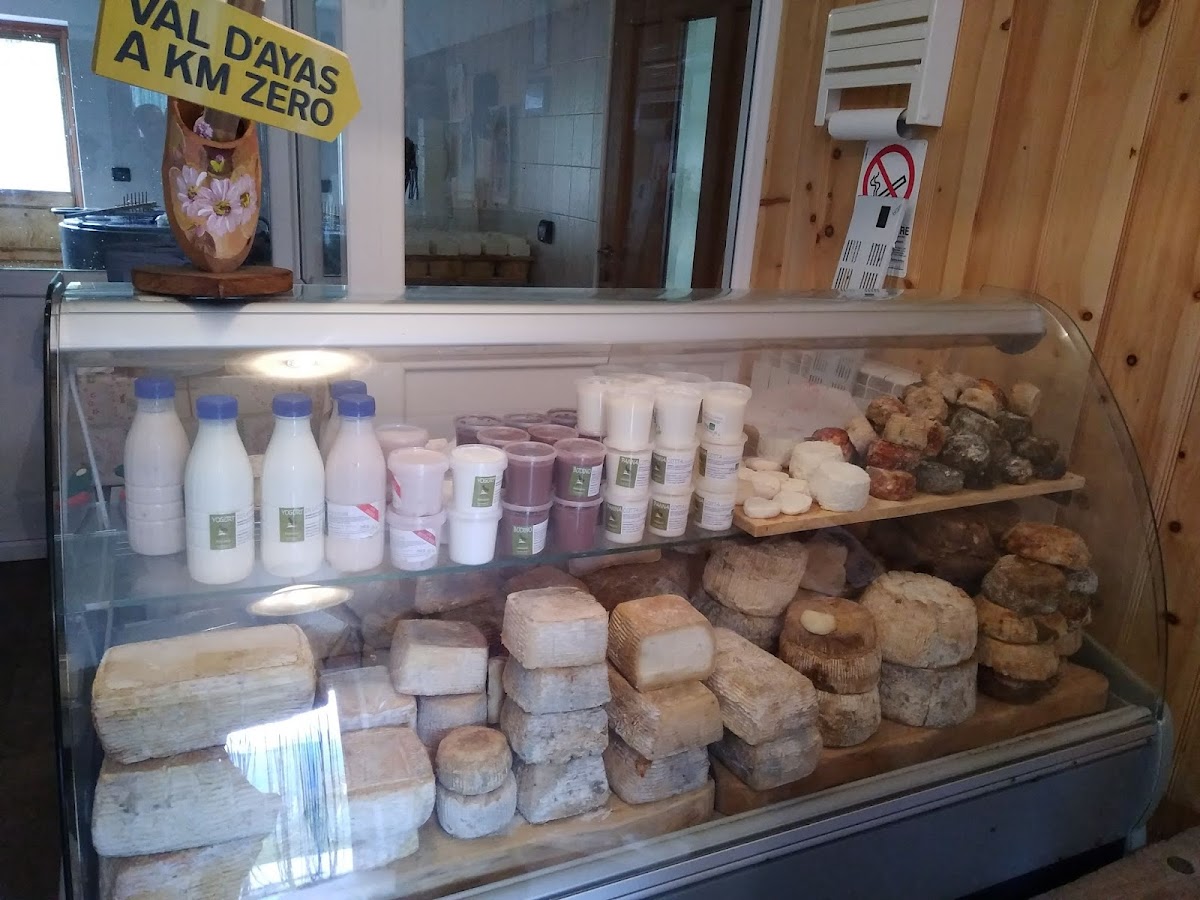 Azienda Agricola champoluchevre Silvia Vuillermi