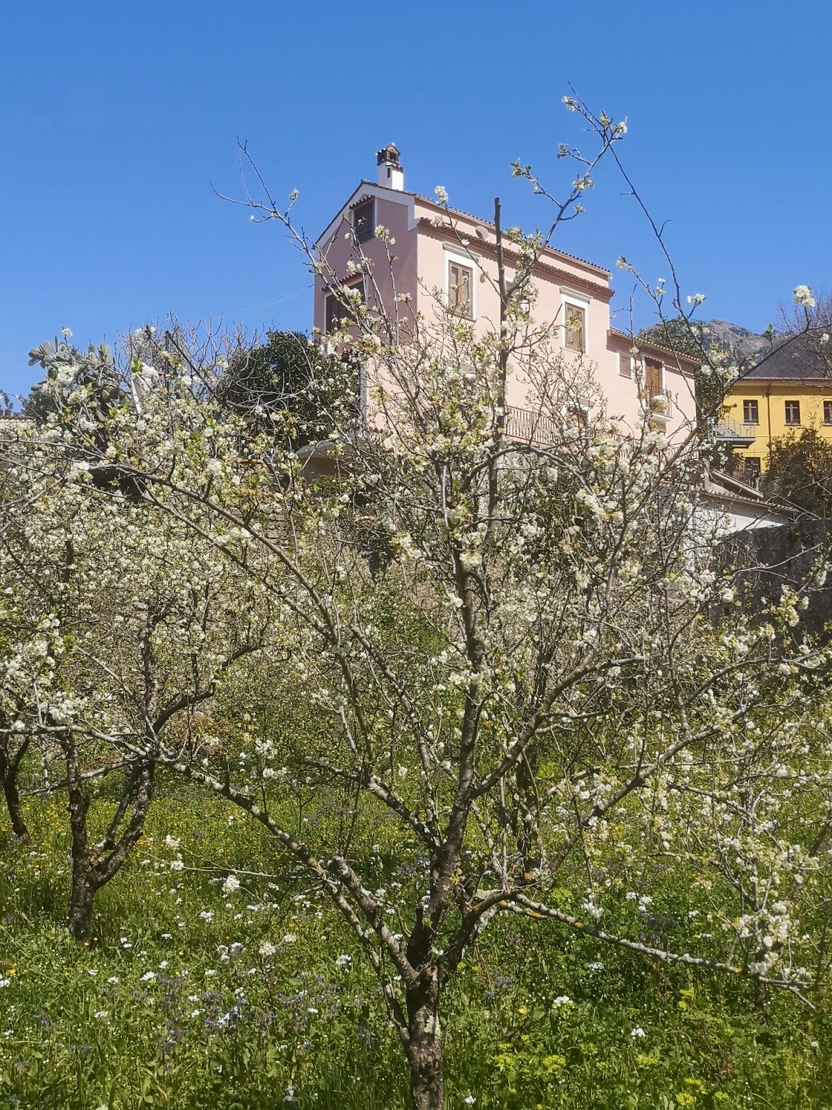 Casa Puccini B&B Maratea