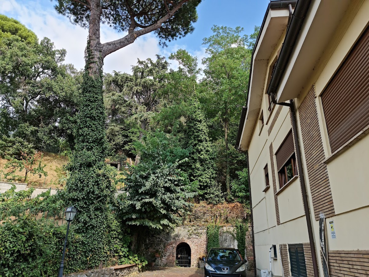 B&B Princess — Alloggio a Frascati, Roma