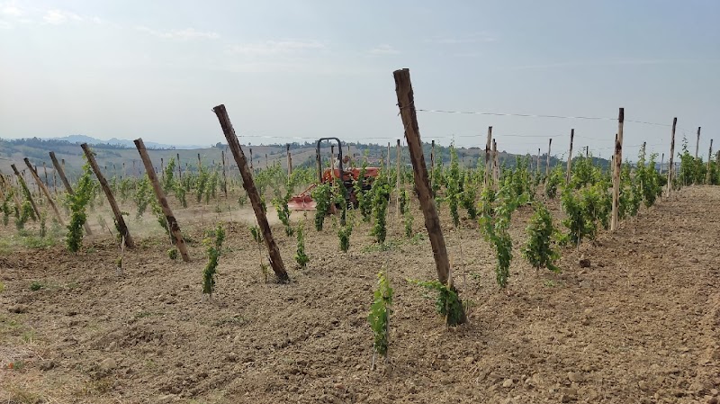 Brezza Francesco, Tenuta Migliavacca