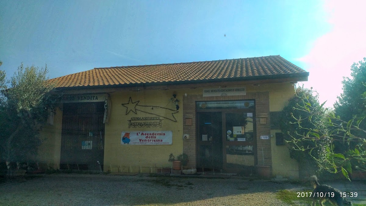 Agriturismo Fattoria Uliveto — Alloggio a Agnone, Isernia