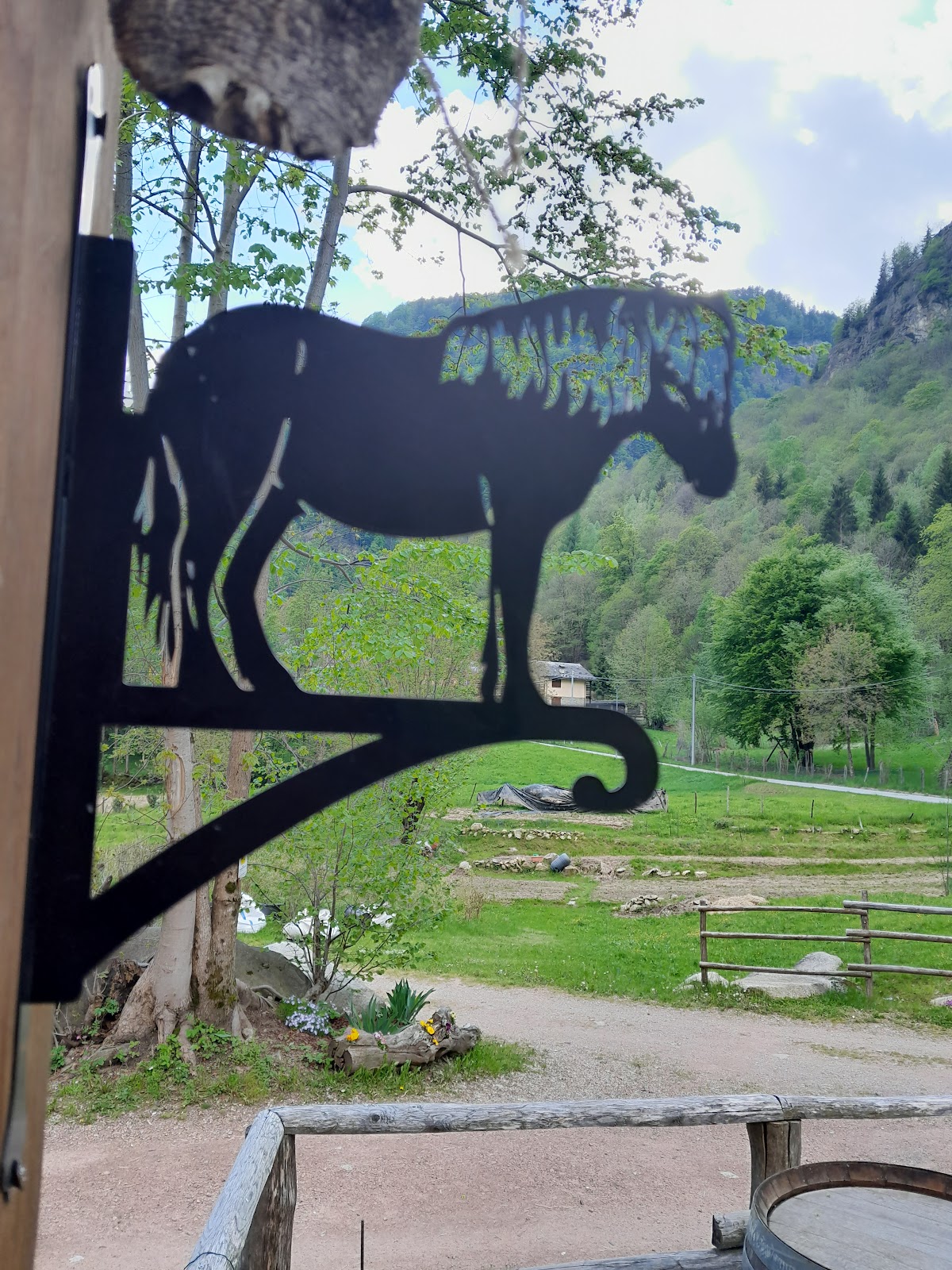 Azienda Agricola Floralp — Alloggio a Champoluc, Aosta