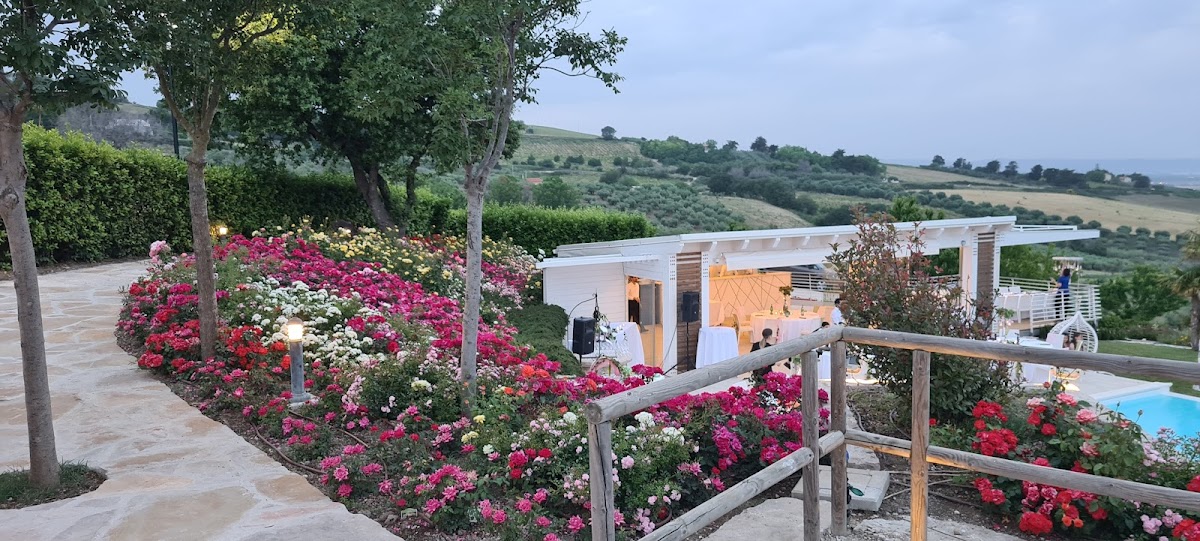 Colle degli Ulivi — Alloggio a Termoli, Campobasso